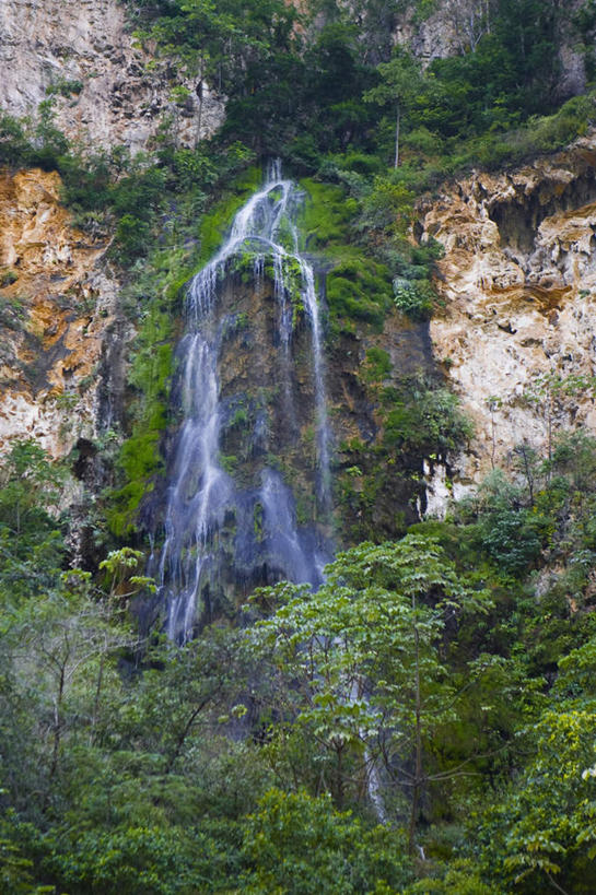 无人,竖图,室外,白天,仰视,旅游,度假,石头,美景,瀑布,森林,山,山脉,树林,水,植物,墨西哥,飞溅,溅,石子,液体,景观,山峰,水滴,山峦,娱乐,水珠,树,树木,绿色,自然,群山,享受,休闲,景色,放松,生长,成长,北美,北美洲,喷洒,自然风光,美洲,沉积岩,恰帕斯,恰帕斯州,北亚美利加洲,亚美利加洲,墨西哥合众国,仙人掌王国,水成岩,跌水,石块,岩石,彩图,低角度拍摄