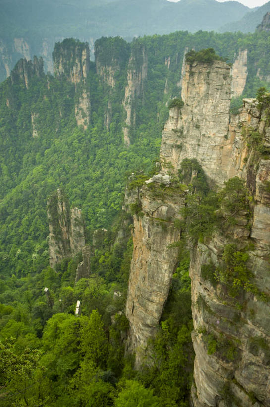 无人,竖图,室外,白天,正面,旅游,度假,石头,美景,森林,山,山脉,树林,植物,张家界,中国,亚洲,石子,景观,山顶,山峰,悬崖,山峦,娱乐,树,树木,绿色,自然,群山,享受,休闲,景色,放松,生长,成长,自然风光,东亚,沉积岩,湖南,湖南省,天子山,中华人民共和国,绝壁,华中地区,湘,张家界市,颠峰,极峰,水成岩,武陵源区,石块,岩石,彩图