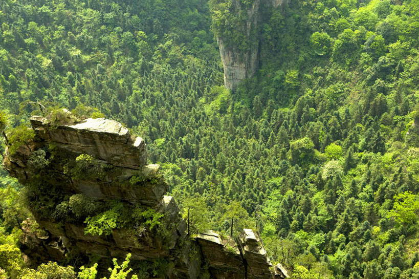 无人,公园,横图,俯视,室外,白天,旅游,度假,石头,美景,森林,山,山脉,树林,植物,张家界,中国,亚洲,石子,景观,山顶,山峰,悬崖,山峦,娱乐,树,树木,绿色,自然,群山,享受,休闲,景色,放松,生长,成长,自然风光,东亚,沉积岩,湖南,湖南省,森林公园,张家界国家森林公园,中华人民共和国,绝壁,华中地区,湘,张家界市,颠峰,极峰,水成岩,石块,岩石,彩图,高角度拍摄