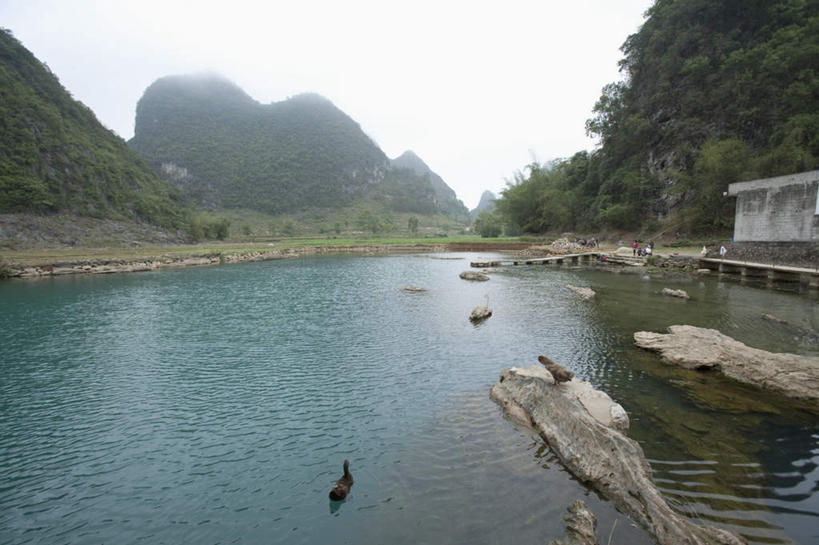 无人,横图,室外,白天,正面,旅游,度假,河流,石头,美景,森林,山,山脉,树林,水,植物,中国,亚洲,阴影,波纹,光线,石子,影子,河水,景观,山顶,山峰,水流,涟漪,山峦,娱乐,树,树木,蓝色,绿色,蓝天,水纹,天空,阳光,自然,波浪,群山,天,享受,休闲,景色,放松,生长,晴朗,成长,广西,自然风光,东亚,沉积岩,万里无云,广西壮族自治区,中华人民共和国,桂,华南地区,水晕,百色,百色市,颠峰,极峰,水成岩,石块,岩石,晴空,晴空万里,彩图,鹅泉,靖西鹅泉,靖西县