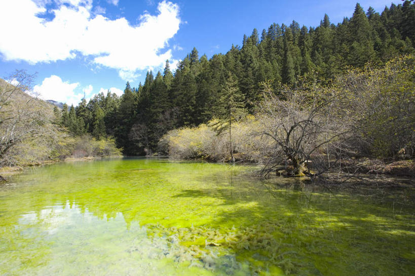 无人,公园,横图,室外,白天,正面,旅游,度假,美景,森林,山,山脉,树林,植物,中国,亚洲,阴影,光线,影子,池塘,景观,山峰,水池,云,云朵,山峦,云彩,娱乐,树,树木,蓝色,绿色,白云,倒影,蓝天,天空,阳光,自然,群山,天,享受,休闲,景色,放松,四川省,生长,晴朗,成长,倒映,国家公园,自然风光,东亚,四川,中华人民共和国,西南地区,川,松潘县,反照,黄龙国家地质公园,松州,晴空,彩图