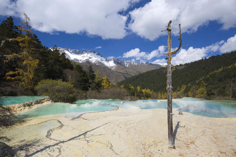 无人,公园,横图,室外,白天,正面,旅游,度假,美景,森林,山,山脉,树林,植物,中国,阴影,光线,影子,池塘,景观,山峰,水池,云,云朵,枝条,山峦,云彩,娱乐,树,树木,树枝,蓝色,绿色,白云,蓝天,天空,阳光,自然,群山,天,享受,休闲,景色,放松,四川省,生长,晴朗,成长,国家公园,自然风光,四川,中华人民共和国,西南地区,川,松潘县,五彩池,虬枝,枝杈,黄龙国家地质公园,松州,晴空,彩图,钙华彩池