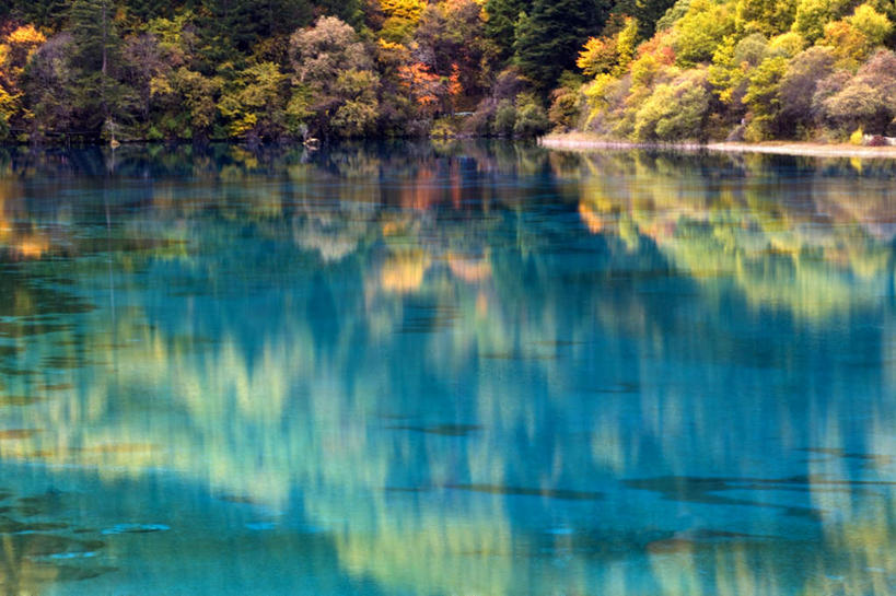 无人,横图,室外,白天,正面,旅游,度假,美景,森林,山,山脉,树林,植物,九寨沟,中国,亚洲,阴影,光线,影子,池塘,景观,山峰,水池,山峦,娱乐,树,树木,绿色,倒影,阳光,自然,群山,享受,休闲,景色,放松,四川省,生长,成长,倒映,自然风光,东亚,四川,阿坝,中华人民共和国,西南地区,阿坝藏族羌族自治州,阿坝州,川,九寨沟县,反照,九寨沟风景名胜区,漳扎镇,彩图,五花海,九寨沟风景区,四川九寨沟风景名胜区