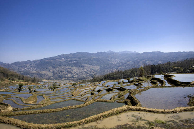 无人,农田,横图,室外,白天,正面,旅游,度假,庄稼,梯田,农作物,美景,山,山脉,中国,亚洲,阴影,曲折,弯曲,光线,影子,景观,山峰,山峦,娱乐,云南,蓝色,蓝天,天空,阳光,自然,群山,天,享受,休闲,景色,放松,蜿蜒,晴朗,自然风光,东亚,元阳,云南省,万里无云,中华人民共和国,西南地区,滇,红河,红河州,红河哈尼族彝族自治州,哀牢山,元阳梯田,元阳县,晴空,晴空万里,彩图,耕地,庄稼田