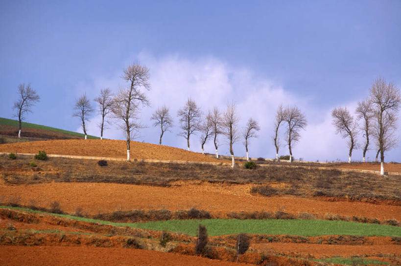 无人,横图,室外,白天,正面,旅游,度假,草地,草坪,美景,植物,昆明,中国,亚洲,阴影,光线,影子,景观,云,云朵,云彩,娱乐,云南,草,树,树木,蓝色,绿色,白云,蓝天,天空,阳光,自然,天,享受,休闲,景色,放松,生长,晴朗,成长,自然风光,昆明市,东亚,云南省,东川,中华人民共和国,省会,西南地区,滇,晴空,彩图,东川红土地,东川区,新田乡