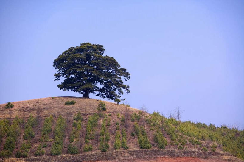 无人,横图,室外,白天,正面,旅游,度假,草地,草坪,美景,山,山脉,植物,昆明,中国,亚洲,阴影,光线,影子,景观,泥土,山峰,土壤,山峦,娱乐,云南,草,树,树木,蓝色,绿色,蓝天,天空,阳光,自然,群山,天,享受,休闲,景色,放松,生长,晴朗,成长,自然风光,昆明市,东亚,云南省,东川,万里无云,中华人民共和国,省会,西南地区,滇,晴空,晴空万里,彩图,东川红土地,东川区,新田乡