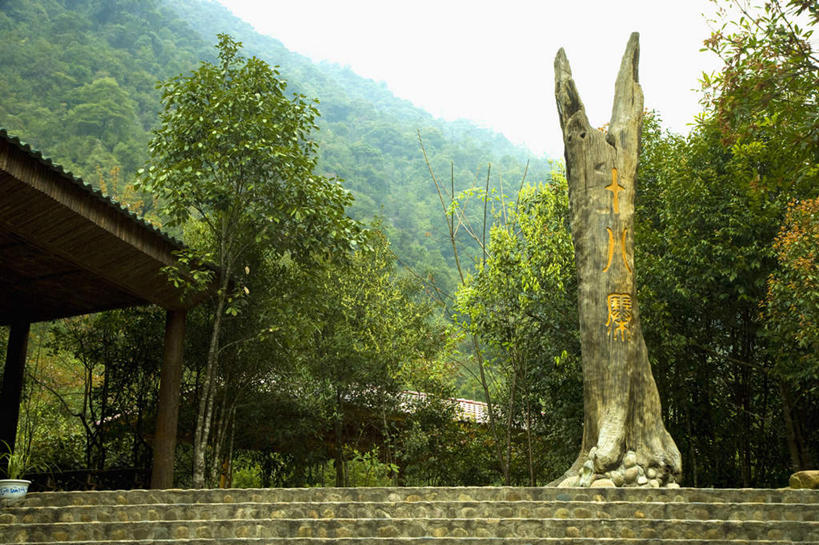 无人,横图,室外,白天,正面,旅游,度假,石头,美景,山,山脉,树林,植物,雾,武夷山,中国,亚洲,朦胧,模糊,石子,景观,山峰,山峦,娱乐,树,树木,绿色,自然,群山,享受,休闲,景色,放松,生长,成长,迷雾,自然风光,福建,东亚,福建省,中华人民共和国,华东地区,闽,石块,岩石,大雾,彩图,武夷山市