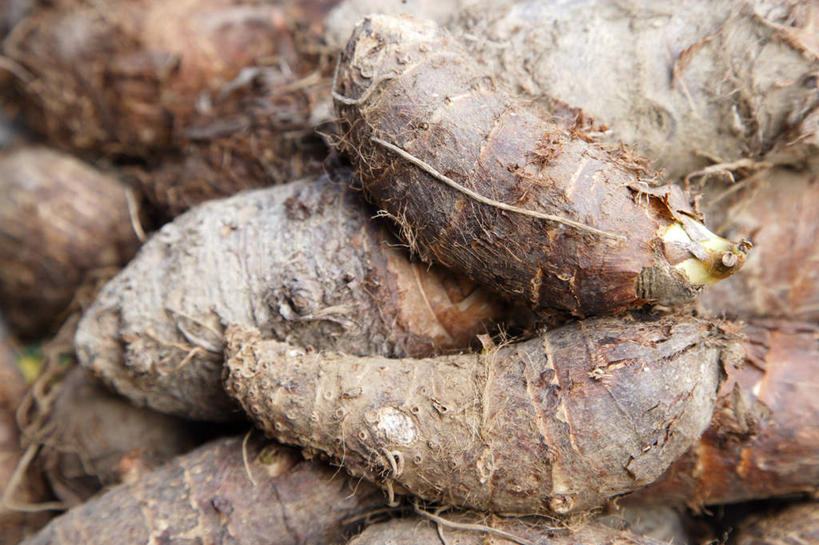 无人,横图,俯视,室内,特写,白天,蔬菜,一堆,许多,阴影,堆叠,堆积,新鲜,反射,影子,芋头,食品,食物,毛芋,毛芋头,芋奶,有机食品,绿色食品,堆,青芋,芋子,芋艿,彩图,高角度拍摄