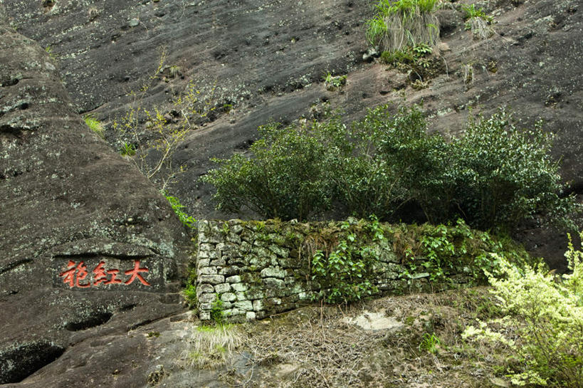 无人,横图,室外,白天,正面,旅游,度假,美景,山,山脉,植物,标志建筑,地标,建筑,雕塑,南京,中国,亚洲,艺术,装饰,标志,雕刻,雕像,文字,字符,景观,山峰,建筑群,山峦,娱乐,标识,建设,江苏,石雕,石刻,树,树木,绿色,自然,石碑,工艺品,群山,享受,休闲,汉字,景色,放松,生长,成长,纪念,玄武湖,美术,中文,自然风光,主题,陈列,东亚,江苏省,南京市,中华人民共和国,华东地区,苏,省会,功能,美学,国文,华文,石头城,彩图,金陵明珠,桑泊