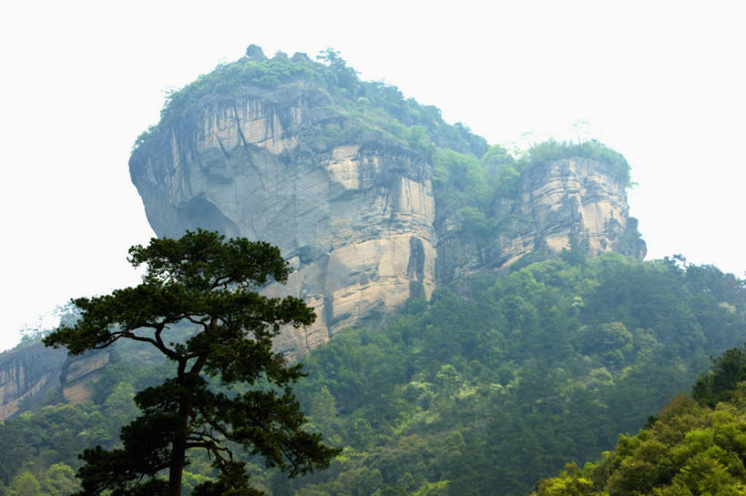 无人,横图,室外,白天,仰视,旅游,度假,石头,美景,山,山脉,树林,植物,雾,松树,武夷山,中国,亚洲,朦胧,模糊,石子,景观,山峰,山峦,娱乐,树,树木,绿色,自然,群山,享受,休闲,景色,放松,生长,成长,迷雾,自然风光,坚定,福建,东亚,福建省,中华人民共和国,华东地区,长寿,闽,贞洁,石块,岩石,大雾,彩图,低角度拍摄,武夷山市