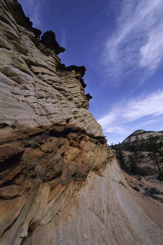 无人,公园,竖图,室外,白天,仰视,旅游,度假,石头,美景,山,山脉,植物,美国,阴影,光线,纹路,石子,纹理,影子,景观,山峰,云,云朵,山峦,云彩,娱乐,树,树木,蓝色,绿色,白云,蓝天,天空,阳光,自然,群山,天,享受,休闲,景色,放松,生长,晴朗,成长,北美,北美洲,犹他州,自然风光,美洲,肌理,北亚美利加洲,亚美利加洲,犹他,蜂窝之州,蜂房州,锡安国家公园,宰恩国家公园,石块,岩石,晴空,彩图,低角度拍摄