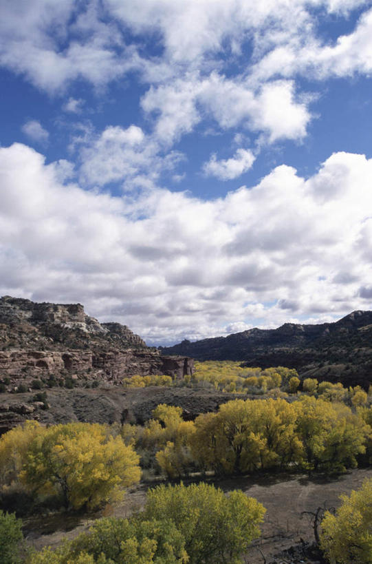 无人,竖图,俯视,航拍,室外,白天,旅游,度假,石头,美景,山,山脉,树林,植物,美国,石子,景观,山峰,云,云朵,山峦,云彩,娱乐,树,树木,蓝色,绿色,白云,蓝天,天空,自然,群山,天,享受,休闲,景色,放松,生长,晴朗,成长,北美,北美洲,犹他州,鸟瞰,自然风光,美洲,北亚美利加洲,亚美利加洲,犹他,蜂窝之州,蜂房州,大阶梯国家纪念碑,大楼梯国家纪念碑,石块,岩石,晴空,彩图,高角度拍摄
