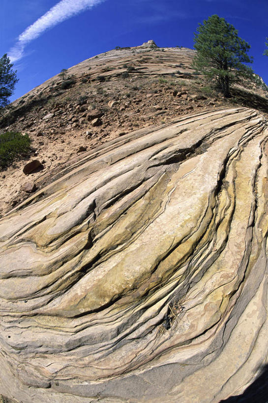 无人,公园,竖图,室外,白天,正面,广角镜头,鱼眼镜头,旅游,度假,石头,美景,山,山脉,植物,美国,阴影,光线,石子,影子,景观,山峰,云,云朵,山峦,云彩,娱乐,树,树木,蓝色,绿色,白云,蓝天,天空,阳光,自然,群山,天,享受,休闲,景色,放松,生长,晴朗,成长,北美,北美洲,犹他州,自然风光,美洲,北亚美利加洲,亚美利加洲,犹他,蜂窝之州,蜂房州,锡安国家公园,宰恩国家公园,石块,岩石,晴空,彩图