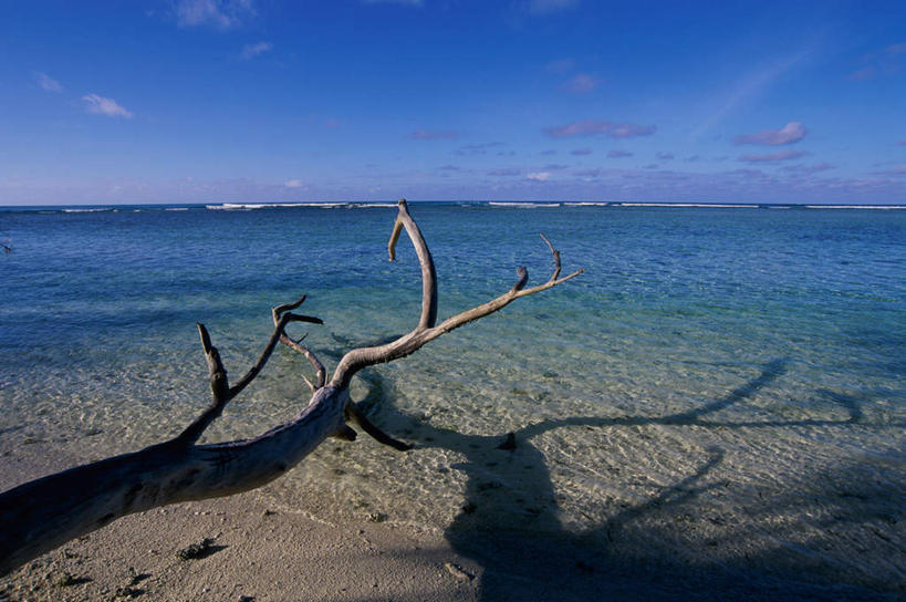 无人,横图,室外,白天,正面,旅游,度假,海浪,海洋,美景,沙滩,植物,非洲,塞舌尔,沙子,海岸,景观,浪花,水平线,云,云朵,辽阔,枝条,海平线,沙地,云彩,娱乐,树,树木,树枝,蓝色,白云,蓝天,天空,自然,海水,天,享受,休闲,广阔,景色,放松,晴朗,一望无际,自然风光,海景,塞舌尔共和国,阿非利加洲,东非,无边无际,一马平川,虬枝,枝杈,大海,风浪,海,海水的波动,海滩,近岸浪,涌浪,晴空,彩图,水天相接,水天一线