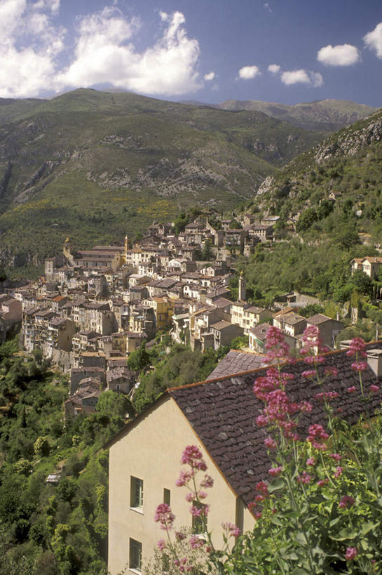 无人,家,竖图,室外,白天,正面,度假,草地,草坪,美景,山,山脉,植物,城市风光,城市,建筑,法国,欧洲,许多,阴影,光线,瓦片,影子,房屋,屋顶,屋子,景观,山峰,云,云朵,山峦,云彩,顶棚,瓦,娱乐,楼房,住宅,草,排列,蓝色,绿色,白云,蓝天,天空,阳光,自然,群山,天,享受,休闲,景色,放松,建造,晴朗,自然风光,屋瓦,法兰西共和国,法兰西第五共和国,摆列,普罗旺斯.阿尔卑斯.蓝色海岸,普罗旺斯.阿尔卑斯.蓝色海岸大区,晴空,彩图,房子,索皮尔,布列,分列