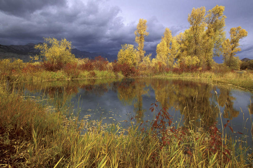 无人,横图,室外,白天,正面,旅游,度假,河流,美景,秋季,水,植物,美国,枯萎,河水,景观,水流,乌云,云,阴天,云朵,枯草,云彩,娱乐,草,黄色,倒影,天空,自然,天,享受,休闲,景色,放松,倒映,北美,北美洲,昏暗,阴沉,自然风光,美洲,怀俄明州,怀俄明,北亚美利加洲,亚美利加洲,平等之州,反照,杰克逊霍尔,秋,秋天,彩图