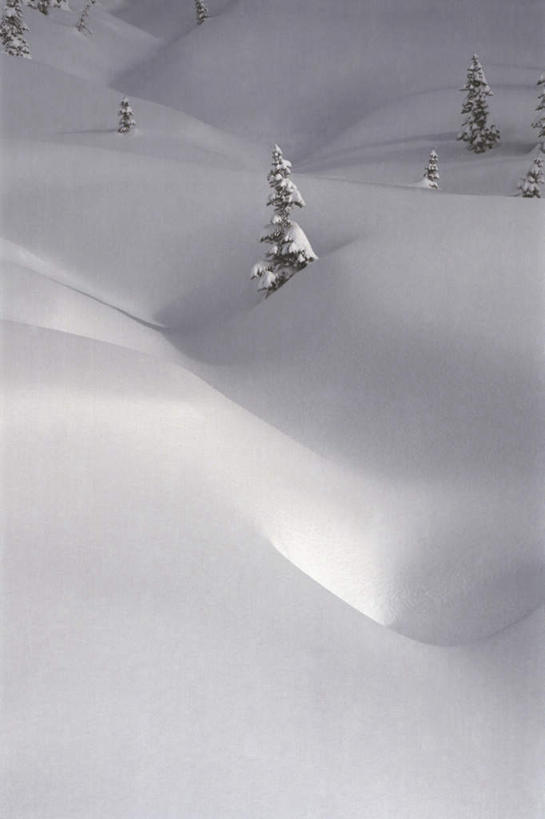 无人,竖图,俯视,室外,白天,旅游,度假,火山,美景,山,雪,雪山,植物,大雪,华盛顿,美国,冰,积雪,景观,山顶,山峰,雪景,冬季,冬天,山峦,娱乐,树,树木,绿色,自然,享受,休闲,景色,放松,寒冷,生长,成长,冰冷,北美,北美洲,自然风光,美洲,华盛顿州,西雅图,雷尼尔山,雷尼尔山国家公园,瑞尼尔山国家公园,常绿之州,常青州,北亚美利加洲,亚美利加洲,严寒,冰凉,酷寒,凛冽,凛凛,极冷,绿宝石城,翡翠之城,雨城,常绿之城,阿拉斯加门户,女王之城,喷气机之城,常青城,颠峰,极峰,瑞尼尔山,活火山,彩图,高角度拍摄