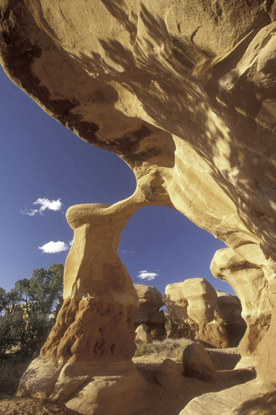 无人,竖图,室外,白天,仰视,旅游,度假,石头,美景,山,山脉,美国,阴影,光线,石子,影子,景观,山峰,云,云朵,山峦,云彩,娱乐,蓝色,白云,蓝天,天空,阳光,自然,群山,天,享受,休闲,景色,放松,晴朗,北美,北美洲,犹他州,自然风光,美洲,沉积岩,北亚美利加洲,亚美利加洲,犹他,蜂窝之州,蜂房州,水成岩,大阶梯国家纪念碑,大楼梯国家纪念碑,石块,岩石,晴空,彩图,低角度拍摄