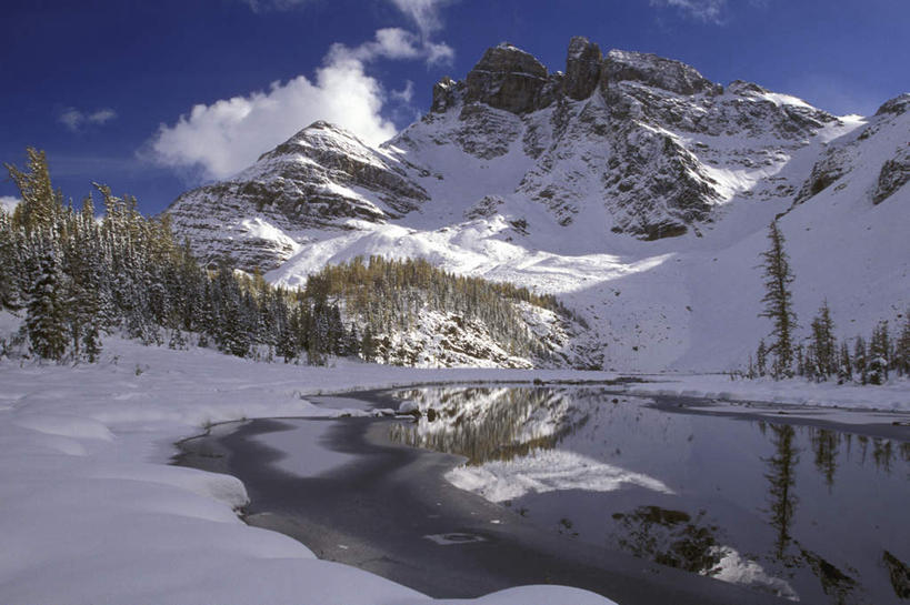 无人,公园,横图,室外,白天,正面,旅游,度假,石头,美景,山,雪,雪山,植物,大雪,加拿大,阴影,光线,石子,影子,冰,积雪,景观,山顶,山峰,雪景,云,云朵,冬季,冬天,山峦,云彩,娱乐,树,树木,蓝色,绿色,白云,蓝天,天空,阳光,自然,天,享受,休闲,景色,放松,寒冷,生长,晴朗,成长,冰冷,北美,北美洲,自然风光,美洲,洛矶山脉,落基山脉,北亚美利加洲,亚美利加洲,严寒,冰凉,酷寒,凛冽,凛凛,极冷,卑诗省,不列颠哥伦比亚,不列颠哥伦比亚省,颠峰,极峰,石块,岩石,晴空,彩图,阿西尼博因山,阿西尼博因山省立公园