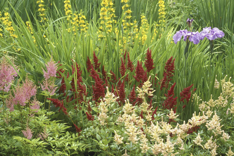 无人,横图,俯视,室外,白天,旅游,度假,草地,草坪,花海,花圃,美景,植物,叶子,华盛顿,美国,阴影,盛开,光线,影子,景观,花蕾,娱乐,草,花,花瓣,花朵,花卉,鲜花,绿色,阳光,自然,花丛,花束,花田,花苞,花蕊,享受,休闲,景色,放松,北美,北美洲,自然风光,美洲,华盛顿州,常绿之州,常青州,北亚美利加洲,亚美利加洲,布雷默顿,布雷默顿港,布雷莫顿,彩图,高角度拍摄