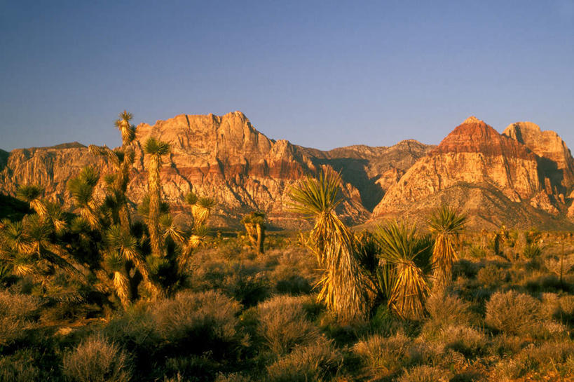无人,公园,横图,室外,白天,正面,旅游,度假,美景,山,山脉,美国,阴影,光线,影子,景观,山顶,山峰,山峦,娱乐,蓝色,蓝天,天空,阳光,自然,群山,天,享受,休闲,景色,放松,晴朗,北美,掩盖,北美洲,国家公园,自然风光,美洲,内华达州,万里无云,北亚美利加洲,亚美利加洲,掩饰,粉饰,内华达,北美艾灌木丛州,产银之州,银山州,银之州,颠峰,极峰,红岩峡谷,红岩峡谷国家公园,美国红岩峡谷国家公园,晴空,晴空万里,彩图