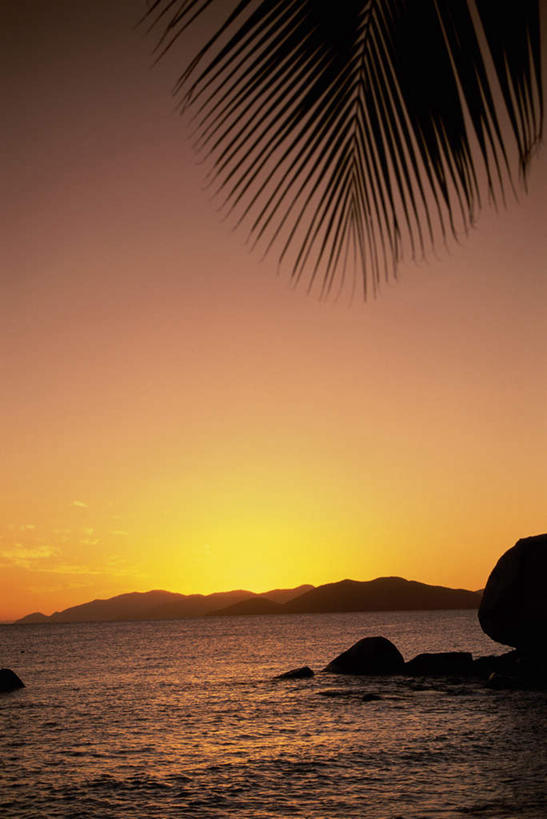 无人,竖图,室外,白天,正面,旅游,度假,海浪,海洋,美景,日落,沙滩,山,山脉,植物,棕榈树,叶子,加勒比海,沙子,海岸,景观,浪花,山峰,晚霞,霞光,落日,绿叶,沙地,山峦,背光,娱乐,树,树木,绿色,自然,海水,黄昏,群山,享受,休闲,嫩叶,景色,彩霞,南美,放松,生长,成长,南美洲,拉丁美洲,自然风光,美洲,逆光,海景,棕榈叶,英属维尔京群岛,英属维京群岛,维京群岛,亚美利加洲,南亚美利加洲,处女群岛,维尔京戈尔达岛,维尔京群岛,英属处女群岛,夕照,叶,叶片,大海,风浪,海,海水的波动,海滩,近岸浪,涌浪,夕阳,彩图,斜阳