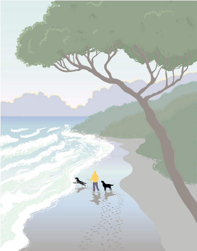 西方人,一个人,无人,站,竖图,俯视,插画,室内,白天,数码,科技,海浪,海洋,石头,森林,沙滩,山,山脉,树林,植物,宠物,狗,欧洲,欧洲人,仅一个男性,仅一个人,阴影,光线,网络,沙子,石子,影子,海岸,浪花,山顶,山峰,沙地,山峦,高光,几何,计算机图形,合成,图画,注视,画,树,树木,仅一个年轻男性,黄色,蓝色,绿色,蓝天,天空,阳光,自然,海水,动物,群山,天,观察,看,站着,可爱,生长,晴朗,成长,观看,保暖,电脑合成图,数码合成图,察看,防寒,御寒,合成图,关注,雨衣,漫画,海景,透气,防水,忠诚,沉积岩,万里无云,写实,具体,具象,冲锋服,冲锋衣,防潮,户外用品,颠峰,极峰,水成岩,男人,男性,年轻男性,白种人,大海,风浪,海,海水的波动,海滩,近岸浪,石块,岩石,涌浪,晴空,晴空万里,犬,站立,彩图,高角度拍摄,全身