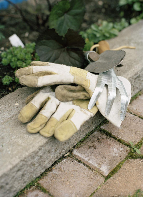 无人,竖图,俯视,室外,白天,安全,草地,植物,阴影,光线,铲子,影子,泥土,土壤,青苔,苔藓,防护,地面,草,绿色,阳光,手套,靶子,保护,保险,保全,周全,安稳,安定,防护手套,平安,彩图,高角度拍摄