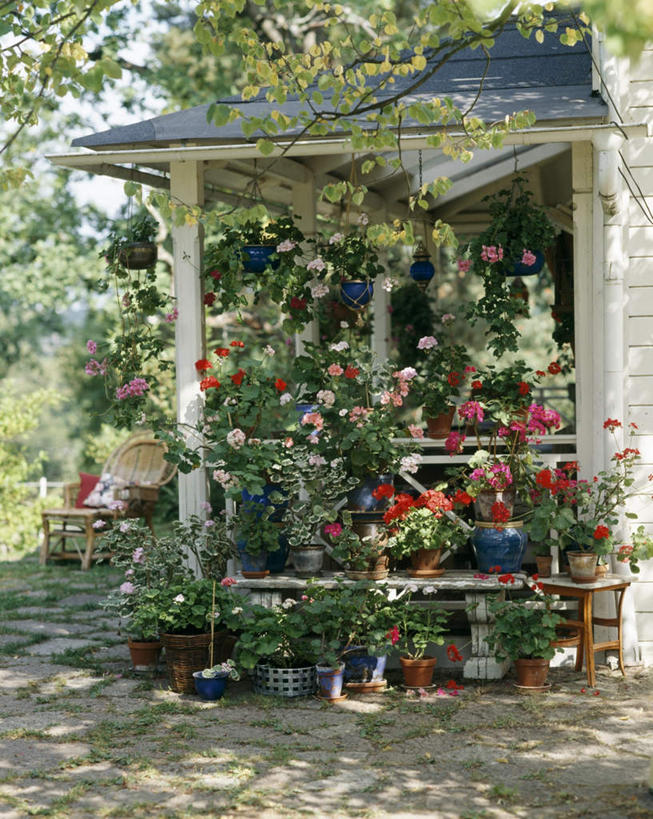 无人,花园,竖图,室外,白天,正面,旅游,度假,草地,草坪,花圃,美景,树林,植物,地板,椅子,许多,阴影,盛开,光线,盆栽,瓦片,影子,木椅,墙,屋檐,景观,盆景,地面,花蕾,娱乐,檐,木地板,墙壁,墙面,草,花,花瓣,花朵,鲜花,树,树木,绿色,阳光,自然,花苞,花蕊,享受,休闲,景色,放松,生长,成长,自然风光,小花园,彩图