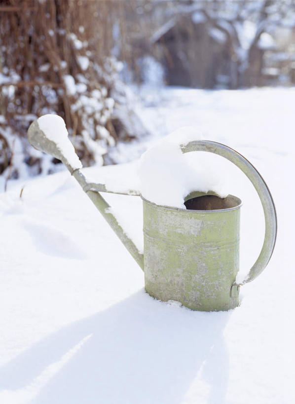 无人,竖图,俯视,室外,白天,旅游,度假,美景,树林,雪,植物,大雪,阴影,光线,影子,积雪,景观,雪景,冬季,冬天,娱乐,树,树木,一个,绿色,阳光,自然,享受,休闲,景色,放松,寒冷,生长,单个,成长,自然风光,喷水壶,严寒,彩图,高角度拍摄