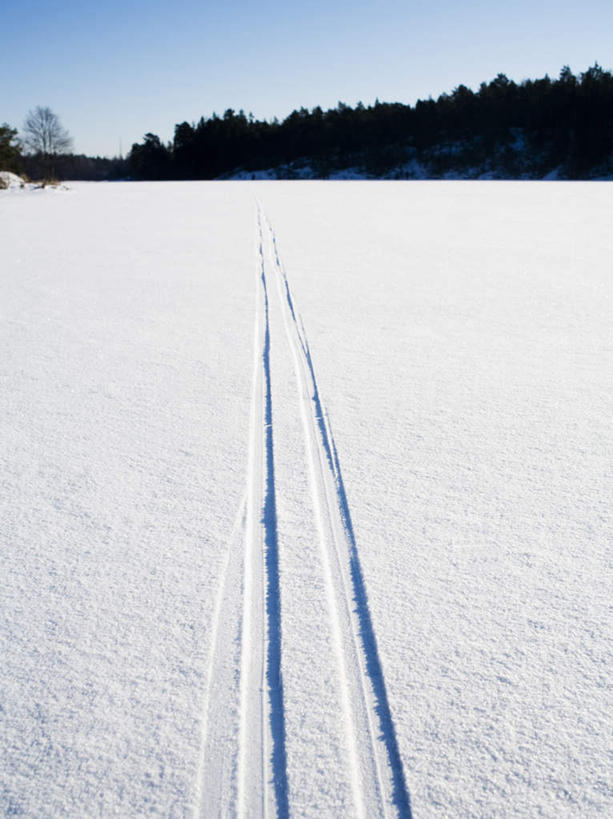 无人,竖图,俯视,室外,白天,旅游,度假,美景,树林,雪,植物,大雪,瑞典,欧洲,积雪,景观,雪景,冬季,冬天,痕迹,娱乐,树,树木,蓝色,绿色,蓝天,天空,自然,天,享受,休闲,景色,放松,寒冷,生长,晴朗,成长,印迹,斯堪的纳维亚,自然风光,北欧,斯堪的纳维亚半岛,万里无云,严寒,瑞典王国,晴空,晴空万里,彩图,高角度拍摄