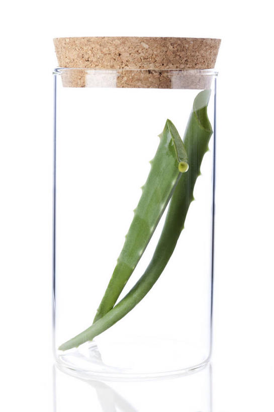 无人,竖图,留白,白色背景,美容,芦荟,静物,玻璃,北京,中国,亚洲,堆叠,丰富,反射,材料,瓷器,草药,药草,软木塞,传统,自然,瓶子,干花,瓶盖,摄影,有机食品,堆,简单,草本,中国文化,干的,中医,东亚,替代疗法,彩图,影棚拍摄,传统文化,成分