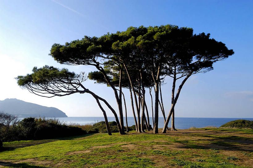 无人,横图,室外,白天,海洋,美景,水,意大利,欧洲,液体,景观,调料,盐,调味品,图像,调味料,食盐,树,风景,自然,景色,摄影,自然风光,盐水,托斯卡纳区,万里无云,彩图