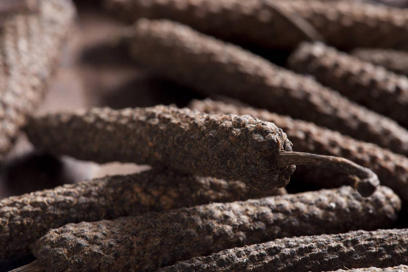 无人,横图,特写,静物,中国,亚洲,许多,材料,瓷器,调料,香料,食品,草药,药草,调味品,很多,饮食,摄影,部分,膳食,中医,东亚,荜拨,彩图,影棚拍摄,成分