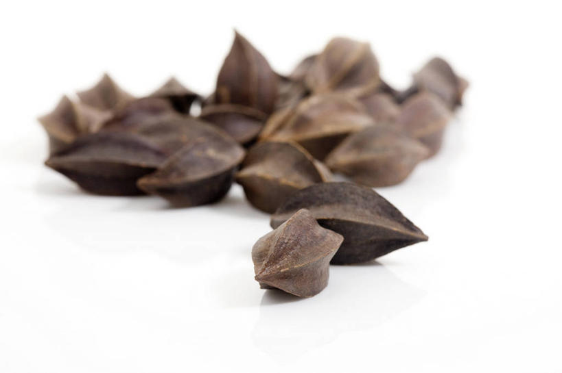 无人,横图,静物,北京,中国,亚洲,药,食品,草药,饮食,饮料,干花,摄影,有机食品,影棚,多样,中国文化,摄影棚,营养品,中医,东亚,健康食物,彩图,影棚拍摄,拍摄,传统文化