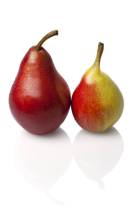 无人,竖图,室内,留白,白色背景,正面,梨,静物,水果,反射,食品,茎,饮食,两个,白色,摄影,影棚,简单,清新,摄影棚,健康食物,纯净,彩图,影棚拍摄,拍摄,亚洲梨