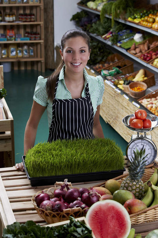 西方人,一个人,菜场,站,笑,微笑,露齿笑,竖图,室内,白天,正面,衬衫,仪器,苹果,菠萝,香蕉,蔬菜,西红柿,洋葱,水果,欧洲,欧洲人,仅一个年轻女性,仅一个女性,仅一个人,三根,一堆,许多,戴,堆叠,堆积,条纹,服装,新鲜,围裙,生食,食品,果实,休闲装,食物,两个,一个,衣服,黄色,红色,蓝色,绿色,紫色,白色,黑色,站着,四个,休闲,辫子,休闲服,服饰,有机食品,绿色食品,单个,堆,一台,戴着,衡量,计量,衡器,案秤,年轻女性,女人,女性,白种人,长发,秤,甘蕉,凤梨,圆葱,洋葱头,球葱,番茄,站立,半身,彩图,衬衣