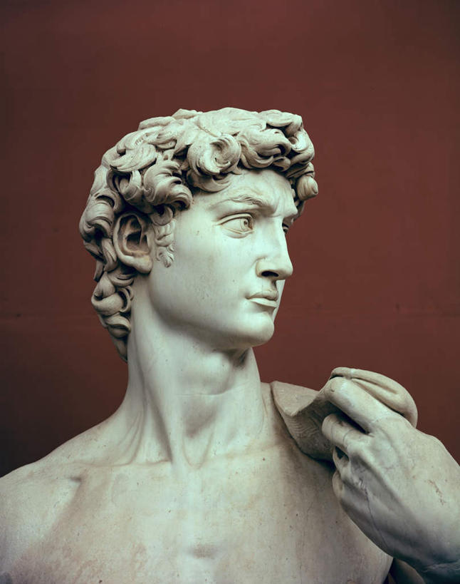 西方人,头发,一个人,无人,竖图,室内,特写,白天,正面,静物,雕塑,欧洲,欧洲人,仅一个男性,仅一个人,握,艺术,装饰,雕刻,雕像,墙,褐色,扭头,注视,裸露,墙壁,墙面,仅一个年轻男性,工艺品,观察,看,转头,握着,观看,纪念,美术,察看,石膏像,关注,主题,裸,陈列,功能,美学,男人,男性,年轻男性,白种人,半身,彩图