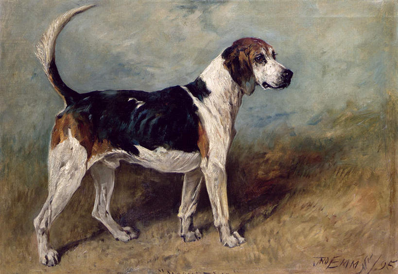 无人,站,横图,室内,白天,侧面,绘画,草地,草坪,植物,宠物,狗,油画,艺术,古典,注视,文化,草,一只,绿色,动物,工艺品,观察,看,品味,站着,可爱,观看,美术,察看,高雅,关注,猎狐犬,忠诚,美学,英国猎狐犬,犬,站立,彩图,全身