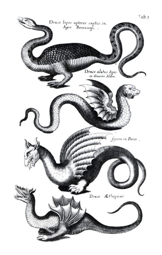 无人,竖图,黑白,照片,室内,白天,白色背景,侧面,成功,四只,一排,阴影,整齐,反射,英文,龙,标志,文字,影子,字符,字母,注视,停留,标识,排列,观察,看,摄影,观看,英文字母,察看,队列,高贵,关注,图腾,传说,怪物,祥瑞,灵兽,权势,尊荣,幸运,相片,全身,拍摄,照相