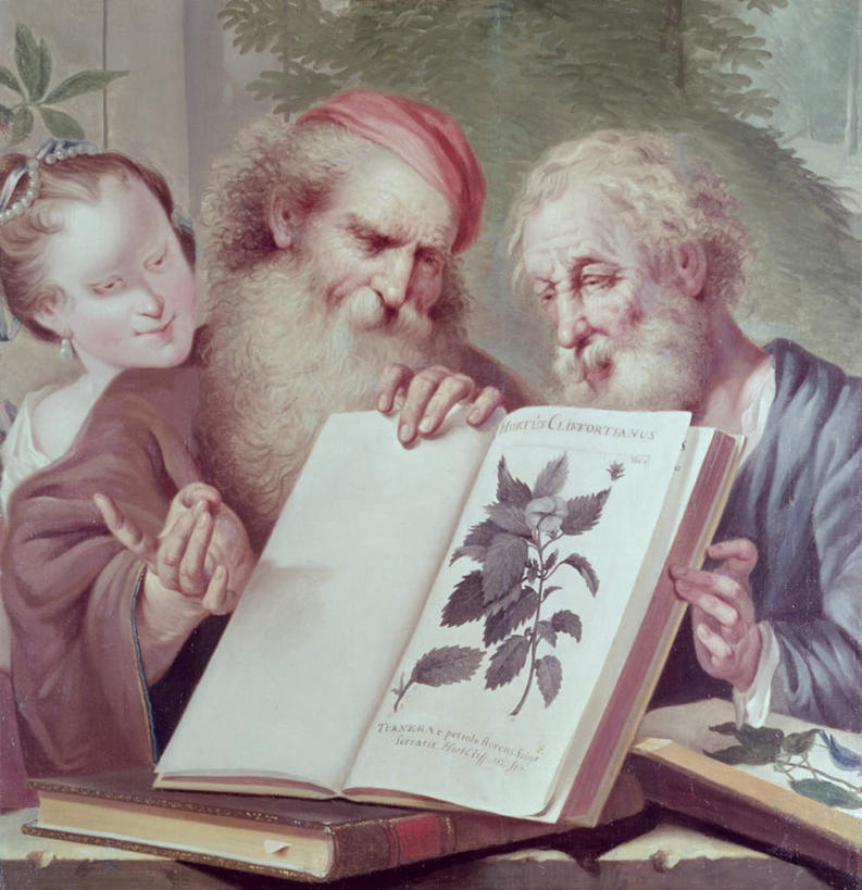 无人,三个人,伙伴,朋友,坐,竖图,室内,白天,正面,民族服装,绘画,友谊,幸福,纯洁,合作,团队,植物,桌子,书籍,叶子,油画,握,艺术,装饰,头巾,头饰,珍珠,绿叶,古典,注视,文化,树,树木,绿色,自然,工艺品,观察,看,品味,健康,嫩叶,战略,握着,生长,成长,观看,两本,华丽,修饰,美术,点缀,贵重,察看,珍贵,高雅,富有,关注,美学,联合,合谋,衬托,美观,雅致,雅观,宝贵,袍子,有机宝石,植物学家,配合,协作,老年男性,男人,男性,年轻女性,女人,女性,叶,叶片,书,图书,坐着,半身,彩图,传统服装,民俗服