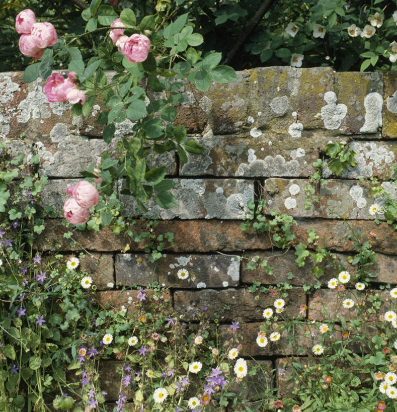 无人,花园,栏杆,竖图,室外,白天,正面,爱情,快乐,幸福,纯洁,热情,花圃,美景,玫瑰,一排,阴影,整齐,并列,并排,盛开,光线,影子,栅栏,景观,篱笆,围栏,玛格丽特,玫瑰花,浪漫,花蕾,护栏,雏菊,花,花瓣,花朵,鲜花,排列,风景,阳光,自然,花苞,花蕊,温暖,温馨,菊花,景色,恩爱,活力,希望,风光,和睦,景物,坚强,队列,自然风光,和平,感动,平行,离别,延命菊,幸福花,春菊,马兰头花,尊敬,暗恋,纯情,单恋,风物,光景,景致,天真,刺玫花,徘徊花,小花园,彩图,愉快,融洽