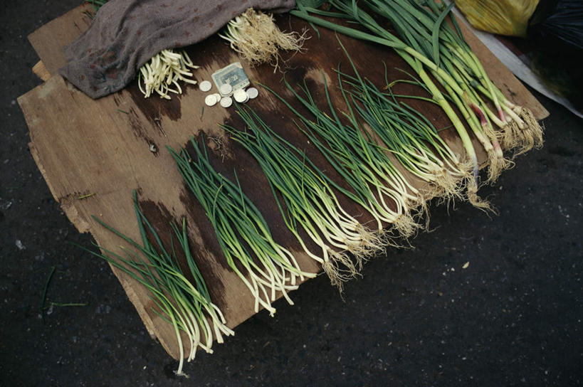 无人,商店,横图,俯视,室外,白天,钱,蔬菜,蒜,一排,许多,新鲜,整齐,钱币,葱,青葱,食品,商铺,食物,排列,金融,有机食品,绿色食品,经济,队列,流通,贸易,市肆,商号,货币,现金,硬币,小蒜,大蒜,彩图,高角度拍摄,店铺