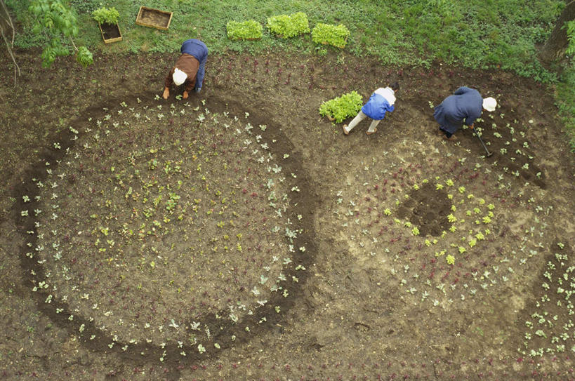 西方人,三个人,农田,农场,站,横图,俯视,室外,白天,畜牧业,牧场,庄稼,农作物,欧洲,俄罗斯,欧洲人,亚洲,阴影,光线,影子,注视,阳光,观察,看,站着,观看,察看,关注,西伯利亚,畜牧,牧业,俄联邦,俄罗斯联邦,年轻女性,女人,女性,白种人,站立,彩图,高角度拍摄,全身,耕地,庄稼田