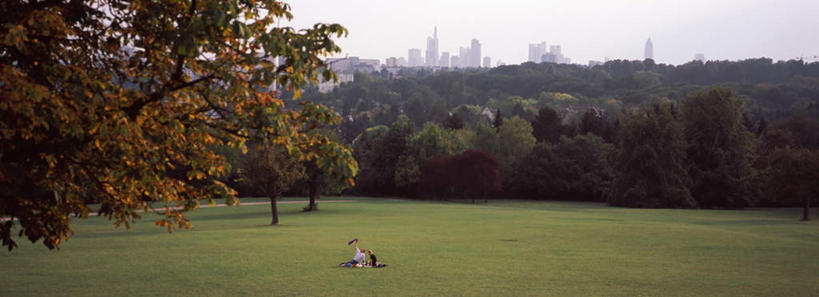 无人,横图,室外,白天,正面,旅游,度假,草地,草坪,美景,树林,植物,德国,欧洲,阴影,光线,影子,景观,娱乐,草,树,树木,蓝色,绿色,蓝天,天空,阳光,自然,天,享受,休闲,景色,放松,生长,晴朗,成长,西欧,自然风光,万里无云,德意志联邦共和国,法兰克福,法兰克福市,黑森州,晴空,晴空万里,彩图