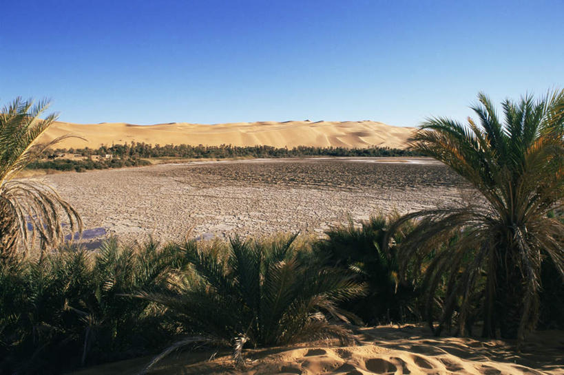 无人,横图,室外,白天,正面,旅游,度假,草地,美景,沙漠,植物,非洲,利比亚,阴影,光线,影子,景观,娱乐,草,蓝色,绿色,蓝天,天空,阳光,自然,天,享受,休闲,景色,放松,晴朗,戈壁,自然风光,北非,万里无云,阿非利加洲,大漠,砂漠,晴空,晴空万里,彩图