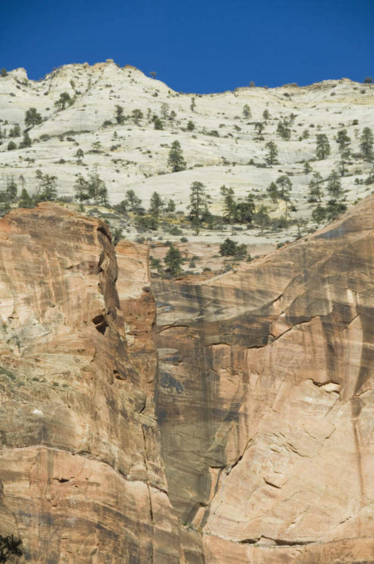 无人,公园,竖图,室外,白天,仰视,旅游,度假,石头,美景,沙漠,山,山脉,峡谷,植物,美国,阴影,光线,石子,影子,景观,山顶,山峰,山峦,娱乐,树,树木,蓝色,绿色,蓝天,天空,阳光,自然,群山,天,享受,休闲,陡峭,景色,放松,生长,成长,灌木,北美,北美洲,犹他州,自然风光,美洲,北亚美利加洲,亚美利加洲,犹他,蜂窝之州,蜂房州,锡安国家公园,宰恩国家公园,笔陡,峻峭,大漠,砂漠,石块,岩石,彩图,低角度拍摄