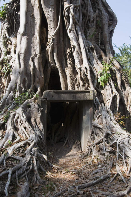 无人,竖图,室外,白天,正面,旅游,度假,美景,植物,门,标志建筑,地标,建筑,叶子,柬埔寨,亚洲,阴影,光线,影子,景观,云,云朵,绿叶,树根,云彩,娱乐,建设,废墟,树,树木,蓝色,绿色,白云,蓝天,天空,阳光,自然,门框,天,享受,休闲,嫩叶,旅游胜地,景色,放松,东南亚,生长,晴朗,成长,自然风光,高棉,柬埔寨王国,吉蔑,叶,叶片,晴空,彩图