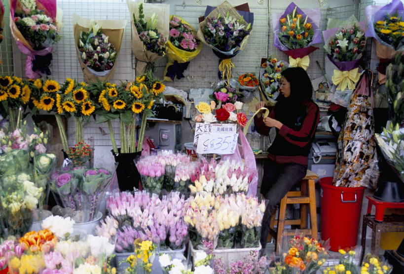 东方人,一个人,花商,坐,横图,室内,白天,侧面,爱情,幸福,纯洁,智慧,热情,玫瑰,椅子,亚洲,仅一个年轻女性,仅一个女性,仅一个人,一排,许多,服装,艺术,整齐,并列,并排,盛开,木椅,玫瑰花,很多,浪漫,花蕾,注视,休闲装,黄种人,文化,花,花瓣,花朵,鲜花,排列,衣服,插花,花束,花苞,花蕊,观察,看,休闲,温暖,温馨,休闲服,恩爱,服饰,观看,插花艺术,和睦,察看,创造,队列,关注,创作,感动,平行,想象,尊敬,天真,刺玫花,徘徊花,年轻女性,女人,女性,亚洲人,花店老板,花贩,卖花人,坐着,彩图,全身,融洽