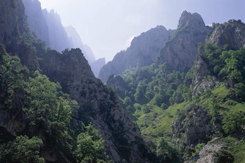 无人,横图,室外,白天,正面,美景,山,山脉,植物,雾,西班牙,欧洲,阴影,朦胧,模糊,光线,影子,景观,山峰,山峦,树,树木,绿色,阳光,自然,群山,陡峭,景色,生长,成长,连绵,迷雾,绵延,南欧,自然风光,西班牙王国,联贯,笔陡,峻峭,坎塔布里亚,坎塔布利亚,大雾,彩图